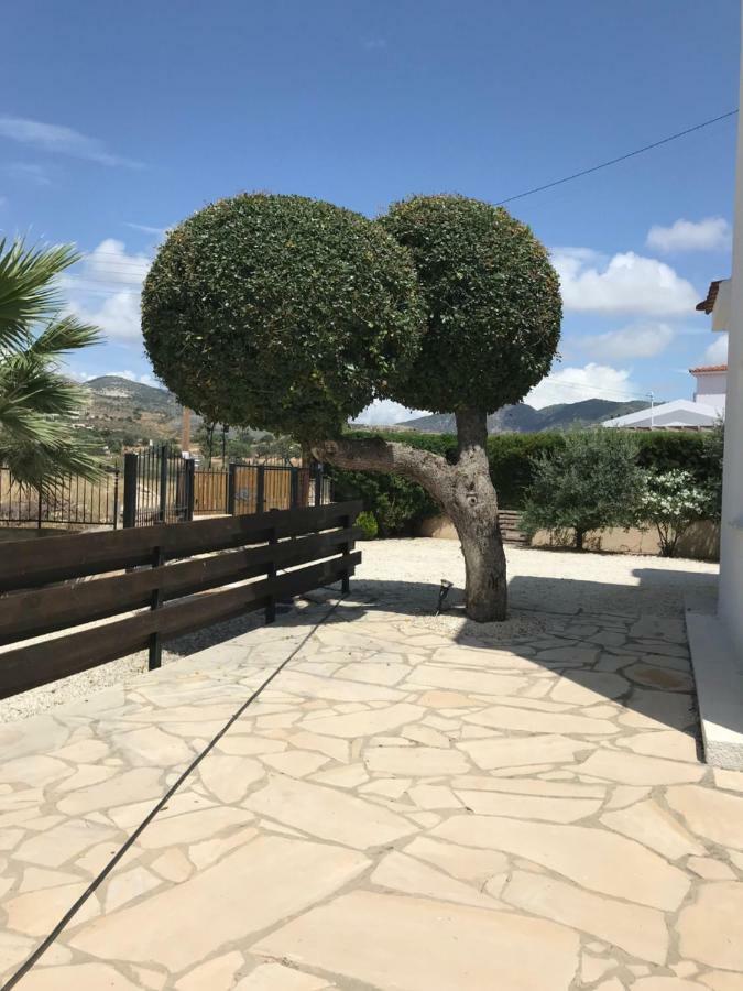 Vila Lilly Pegeia Exteriér fotografie