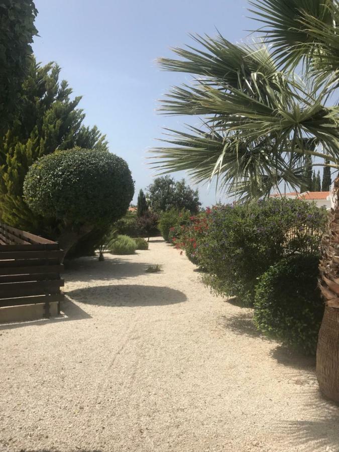 Vila Lilly Pegeia Exteriér fotografie