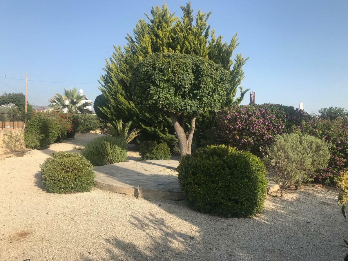 Vila Lilly Pegeia Exteriér fotografie